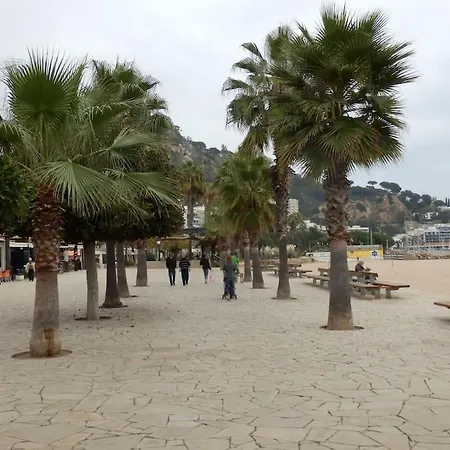 Playa *